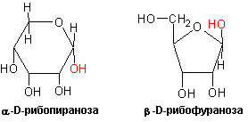 Ciklicheskie Formy Monosaharidov